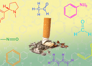 NicoZero blockiert die Aufnahmefähigkeit der Rezeptoren für Nikotin